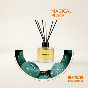 BARGELLO MAGICAL PLACE 120 ml Евкалипт Пачули 120 ml Аромат за дома